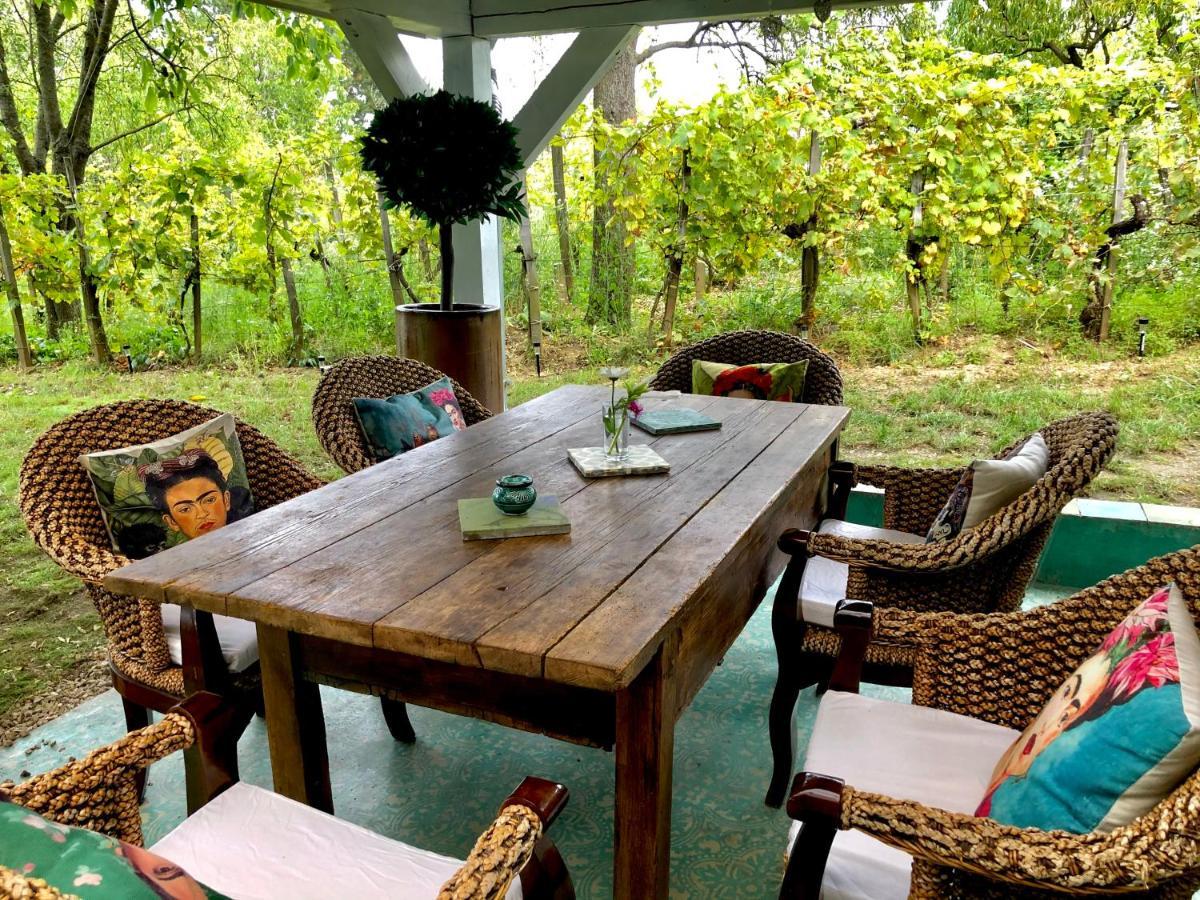Bohemian Eco Lodge At Lake Balaton Kisapati Zewnętrze zdjęcie